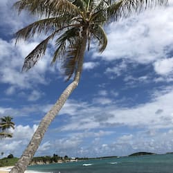 Khuôn viên nơi lưu trú