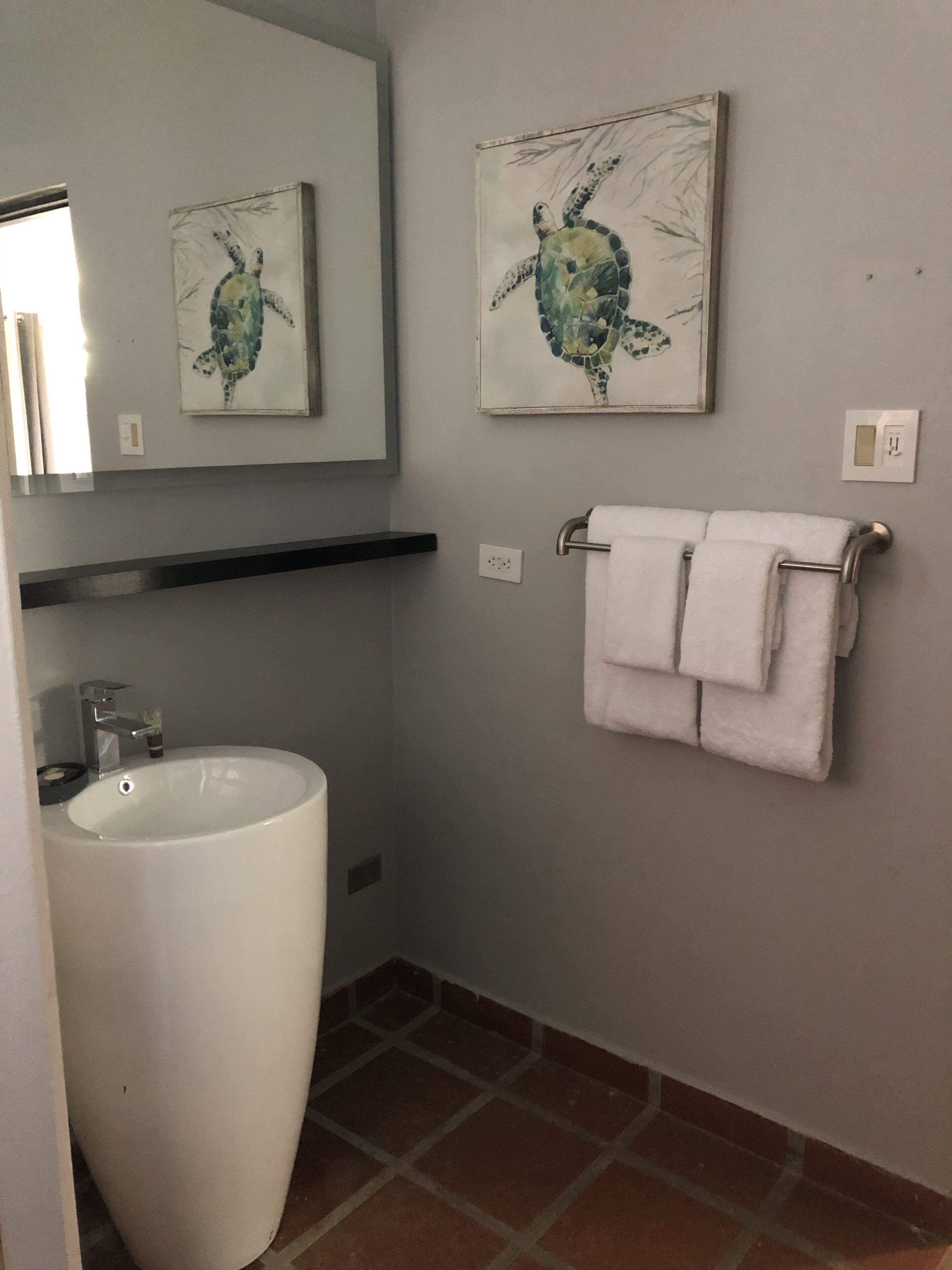 Une salle de bain avec un grand lavabo blanc, un miroir et deux œuvres d’art encadrées représentant des tortues.