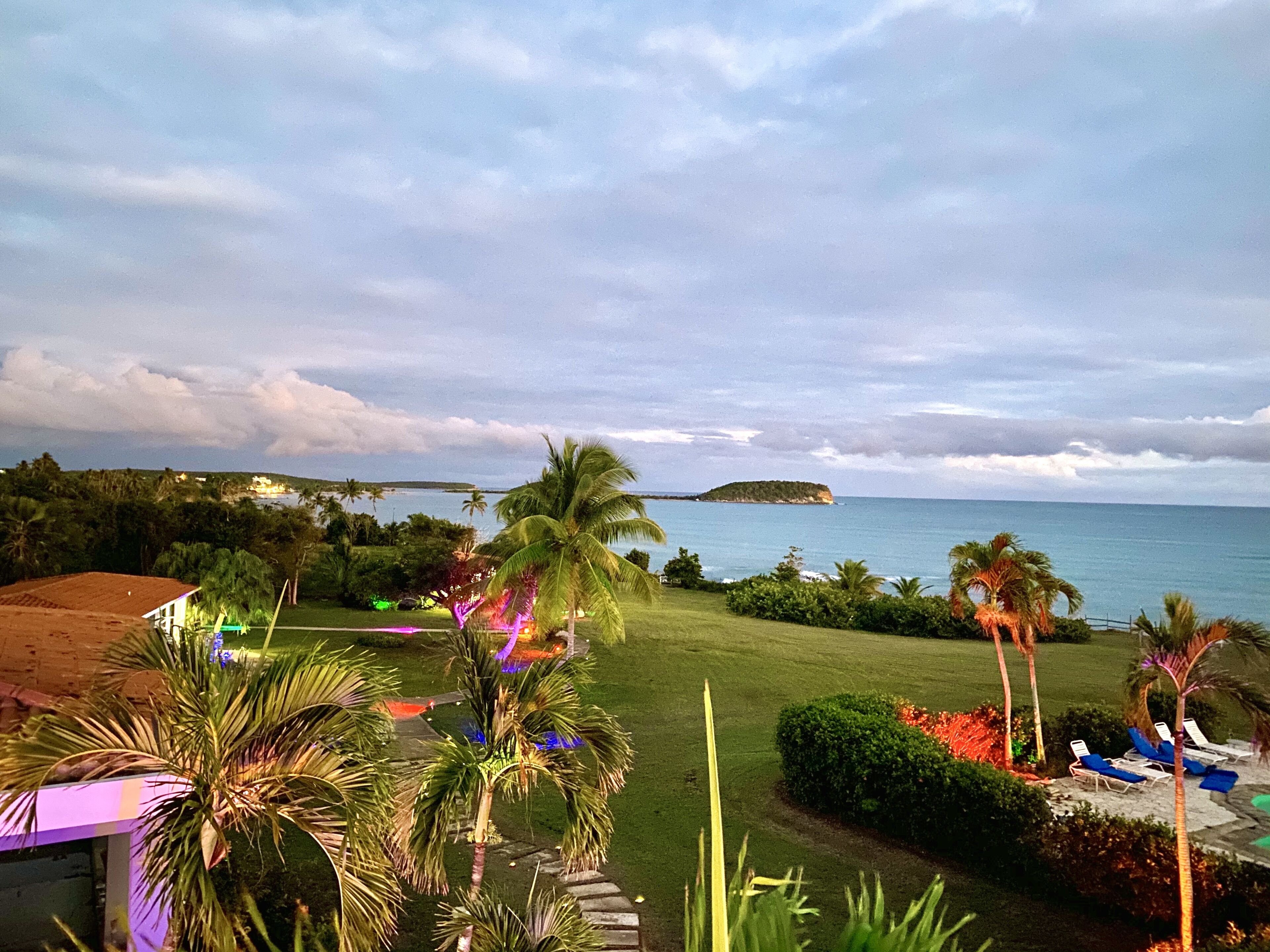 A view of a beach with palm trees, a grassy area, and a small island in the distance.