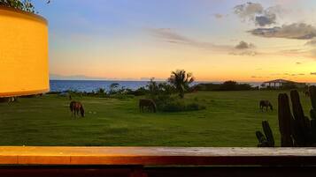 A grassy field with horses grazing, a body of water, and a building in the distance.