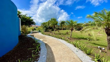 Een pad dat door een tuin met palmbomen leidt, met een blauwe muur aan de linkerkant.