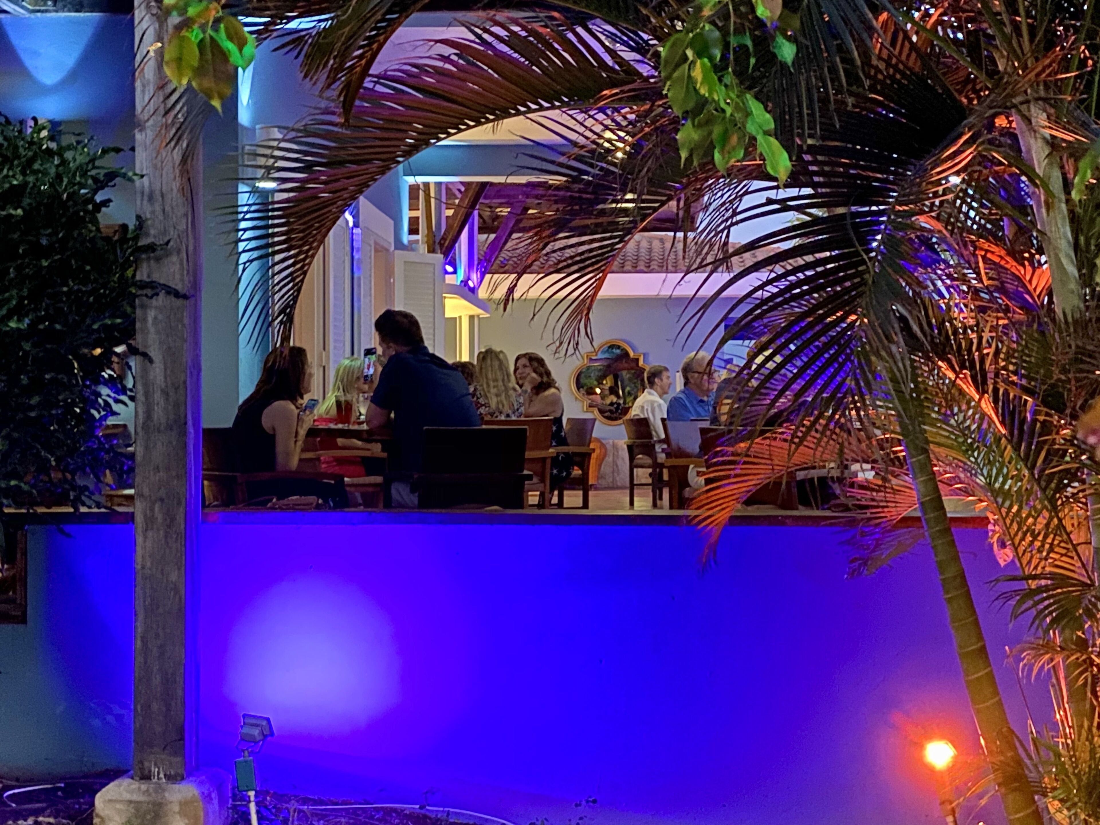 An outdoor seating area with palm trees and a blue-lit background.