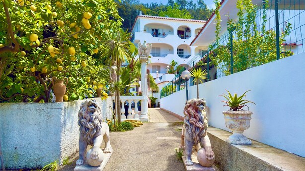 A courtyard with two stone lion statues, a lemon tree, and a white building with balconies. - Hotel Villa Fiorentina (Casamicciola Terme)
