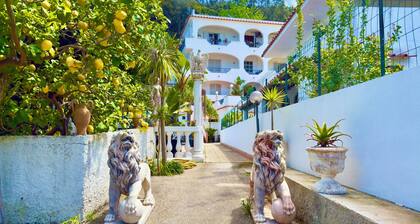 Hotel Villa Fiorentina