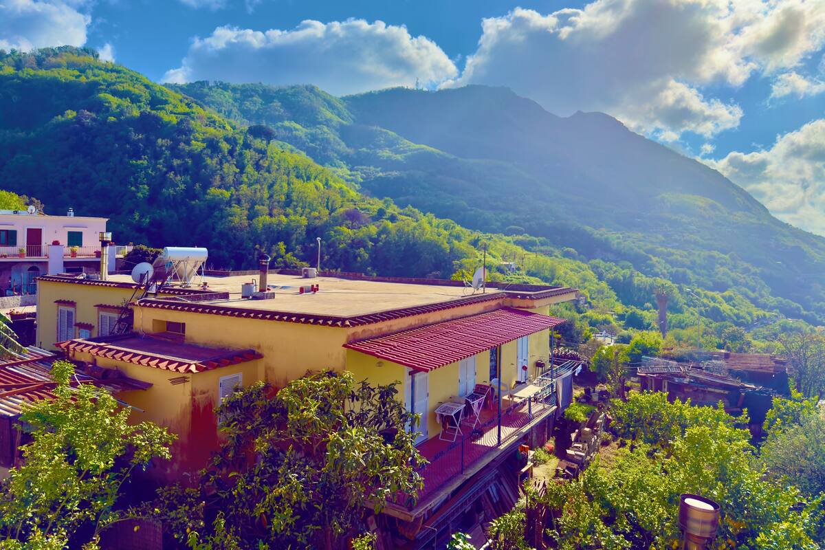 Deluxe Double Room | Terrace/patio