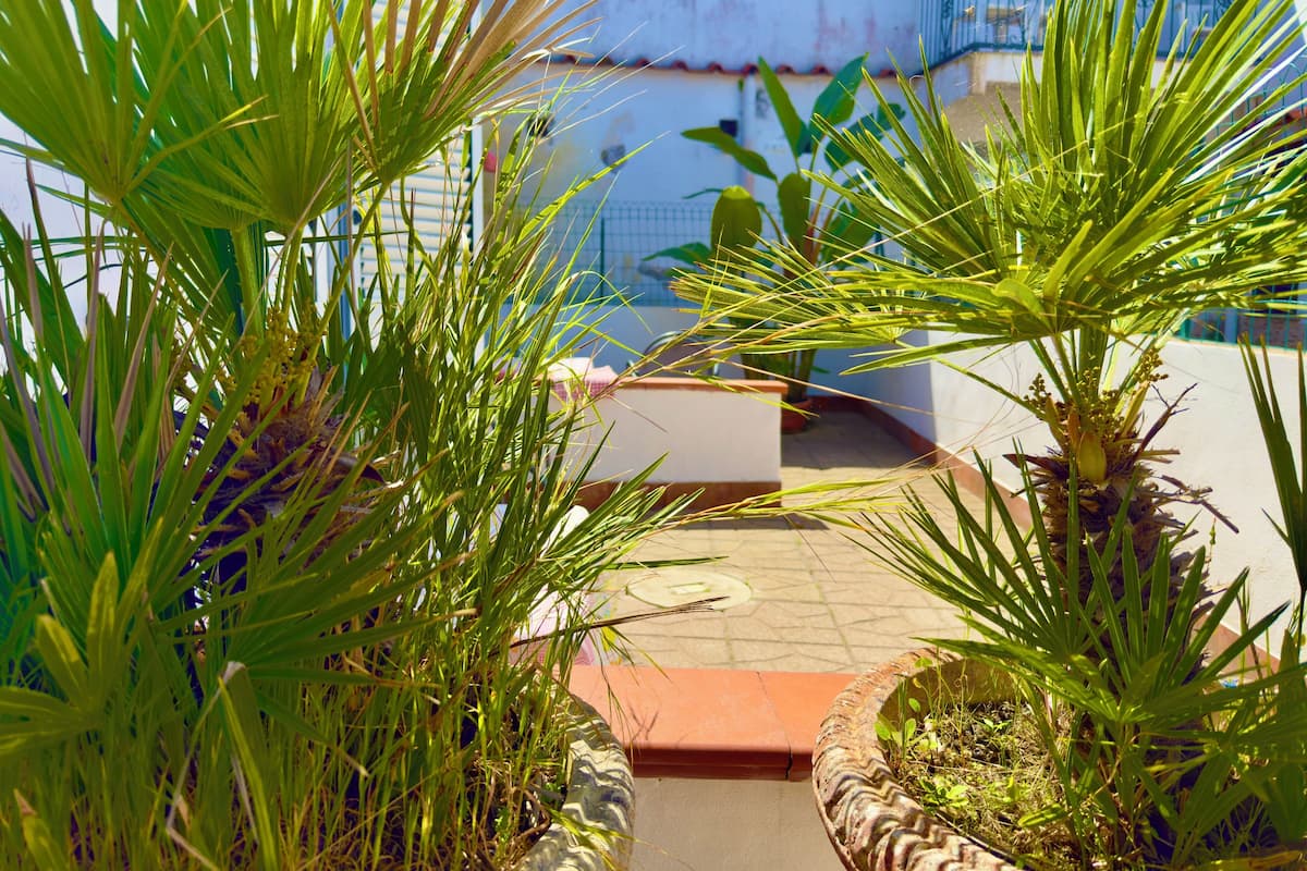 Ein Innenhof mit Topfpflanzen und einem gefliesten Boden.