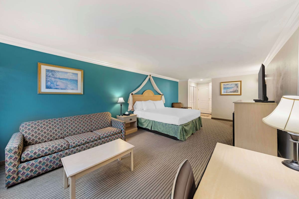 A hotel room with a bed, a sofa, a desk, a chair, and a TV.