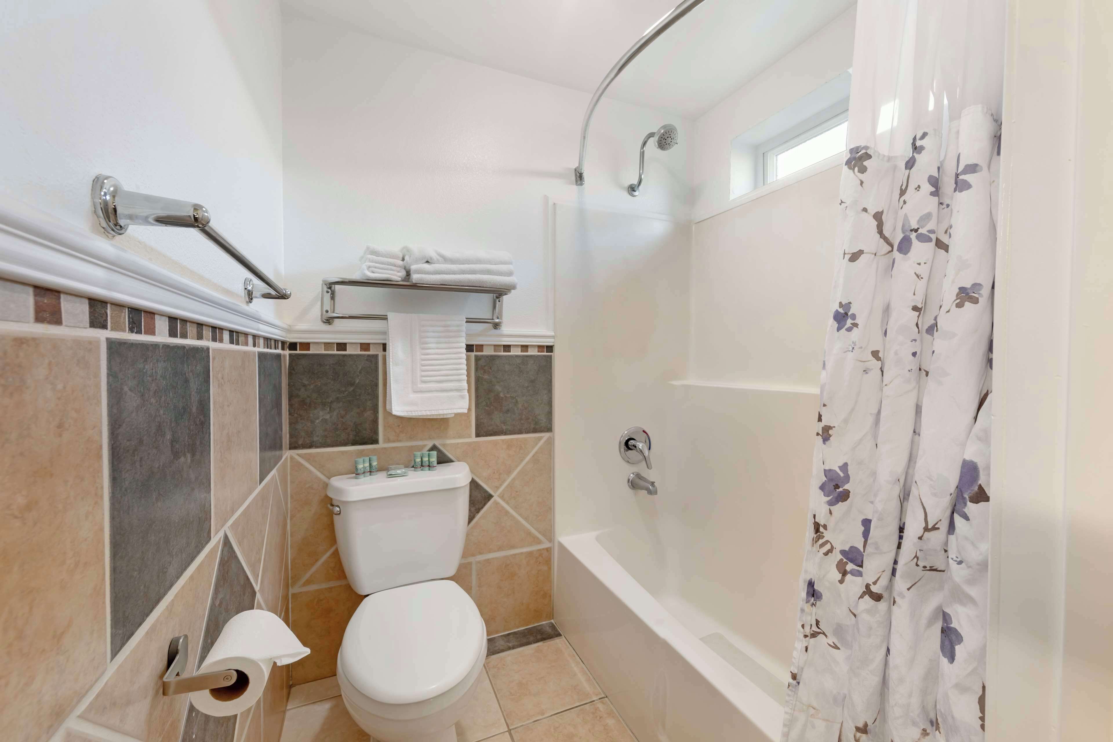 suite, 1 king bed, non smoking, balcony | bathroom | combined shower/bathtub, hydromassage showerhead, free toiletries