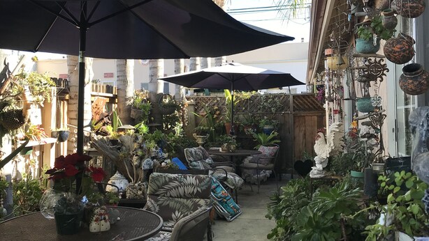 Un espace extérieur aménagé en terrasse, avec des tables et des chaises rondes, entouré de plantes en pot et de parasols.