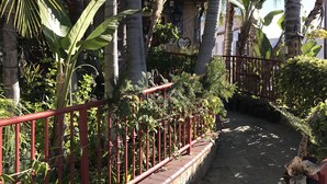 Un sentier bordé de rambardes rouges et d’une végétation luxuriante, notamment des palmiers et des bananiers.