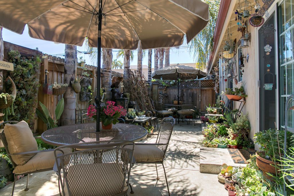 An outdoor patio with a round table and chairs, surrounded by potted plants and umbrellas.