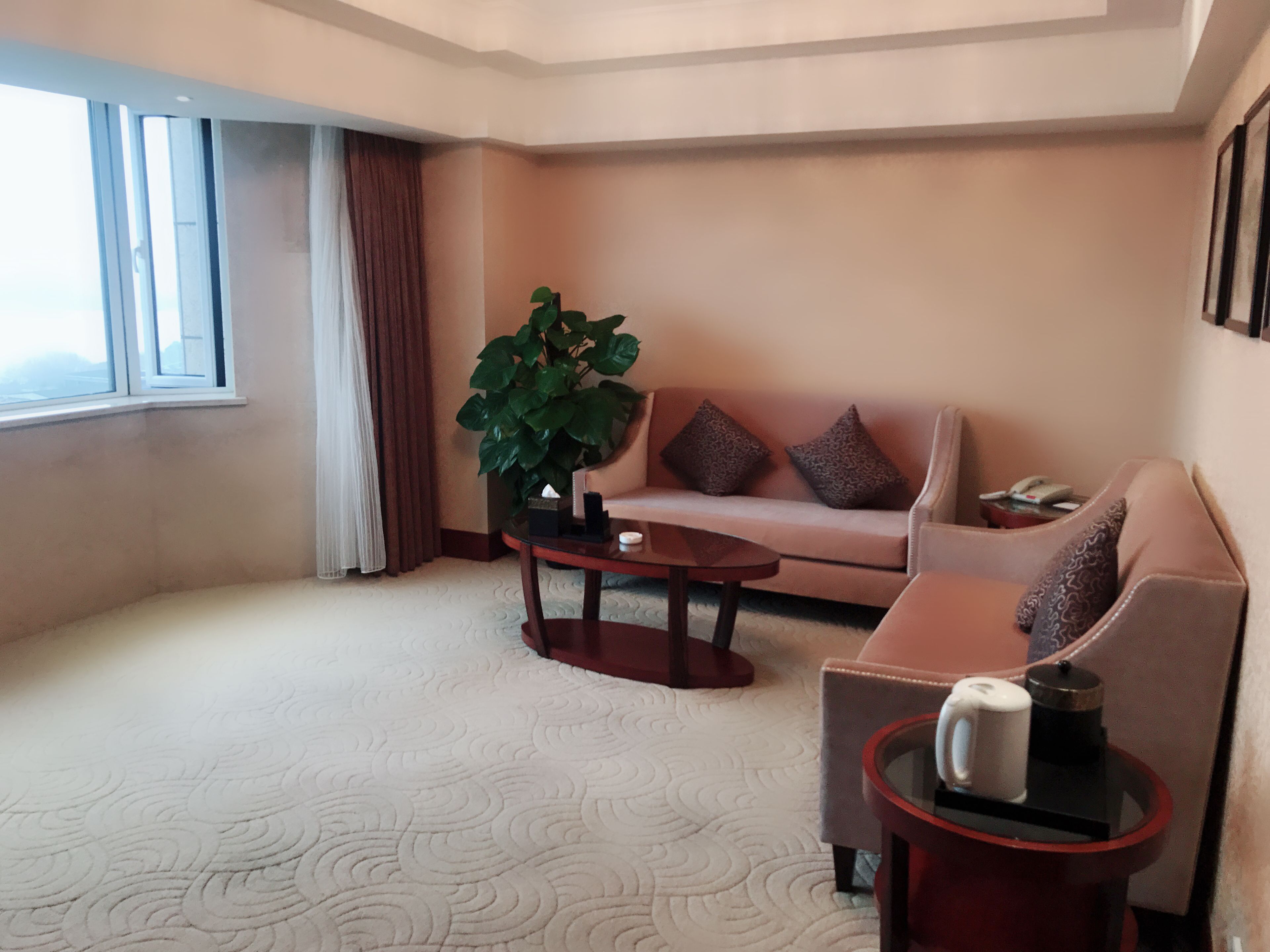 Een hotelkamer met een beigekleurig tapijt, een bank, een bijzettafeltje, een plant en een raam met gordijnen.