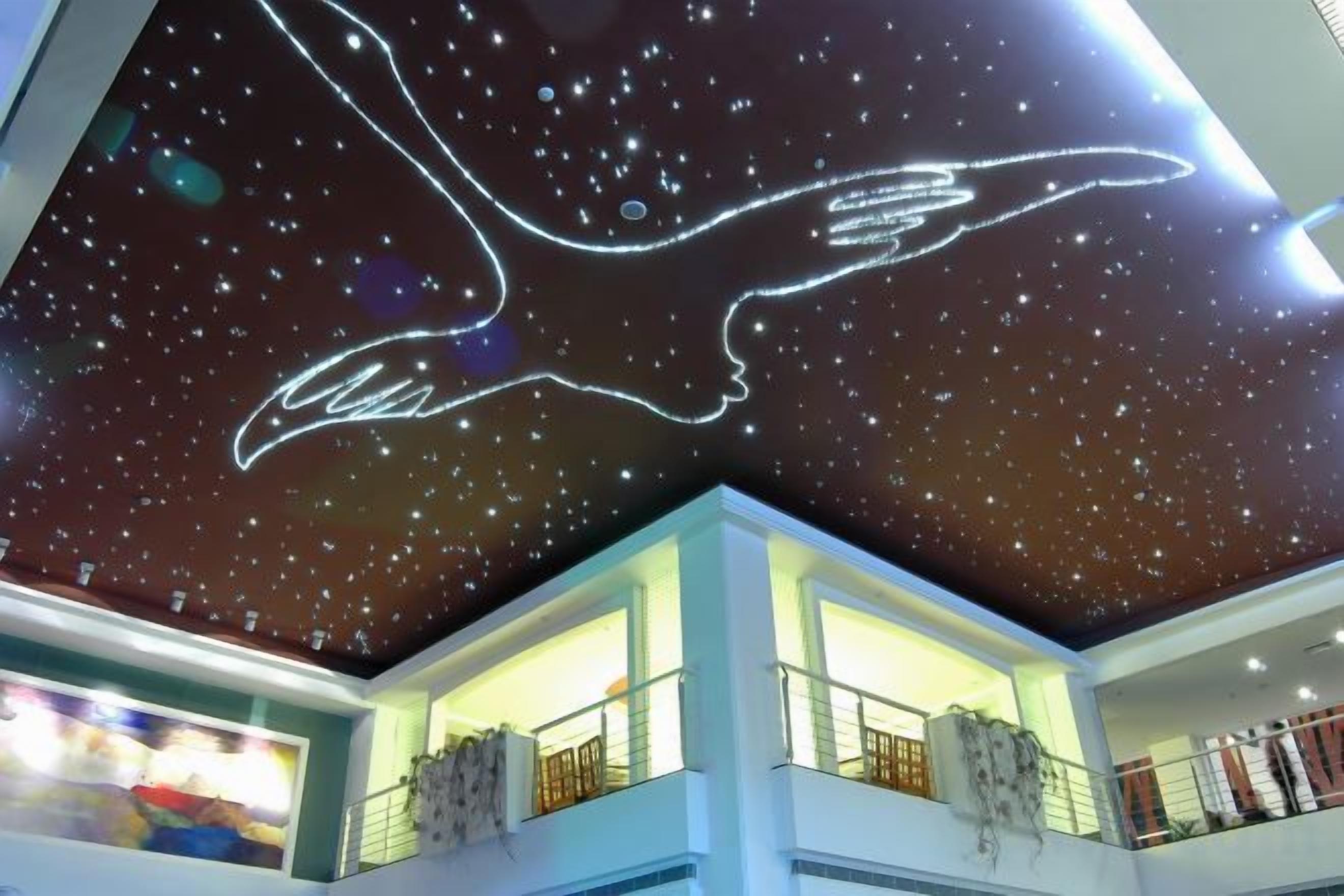 A ceiling with a starry night sky design and a winged figure.