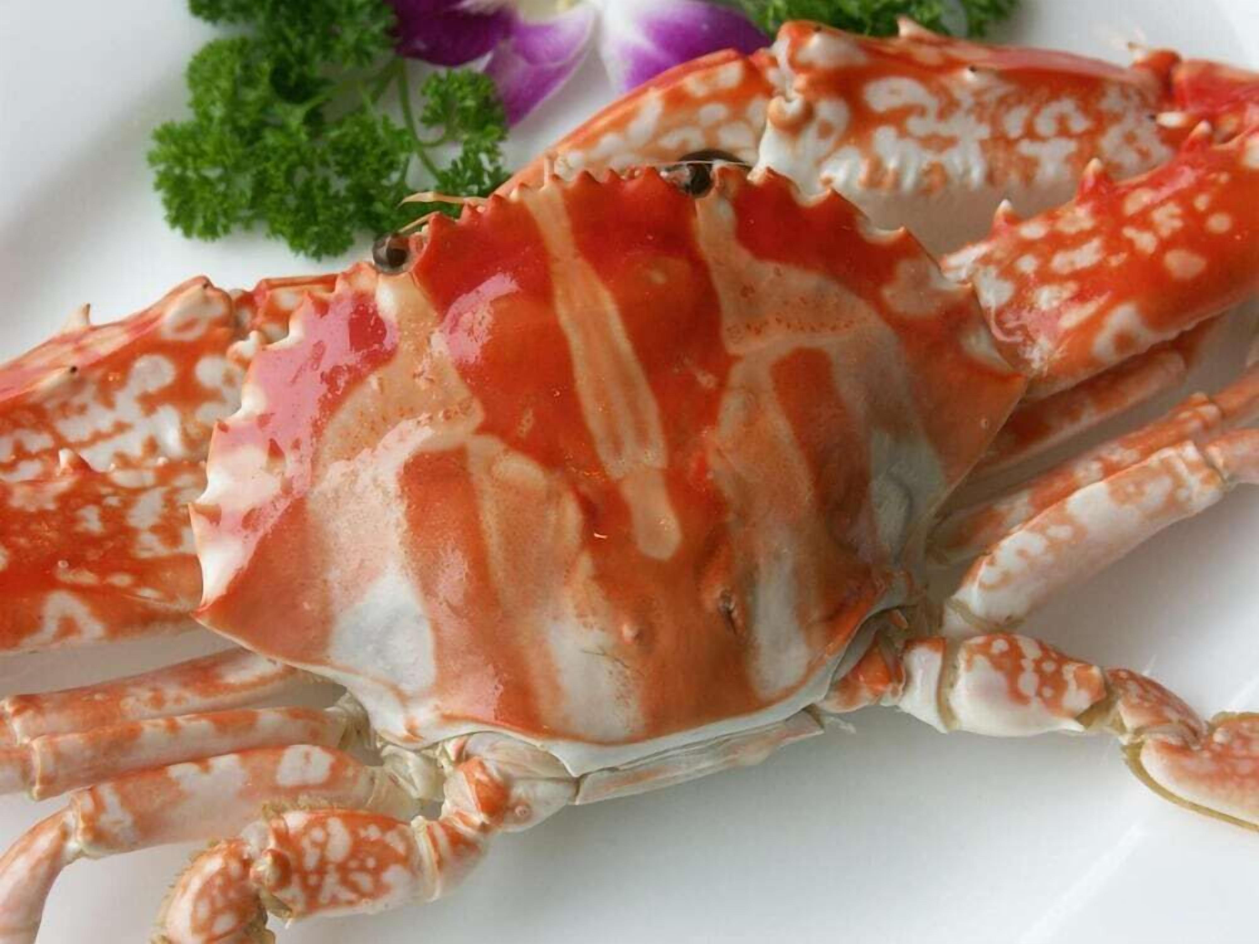 A crab on a plate with parsley and purple flowers.