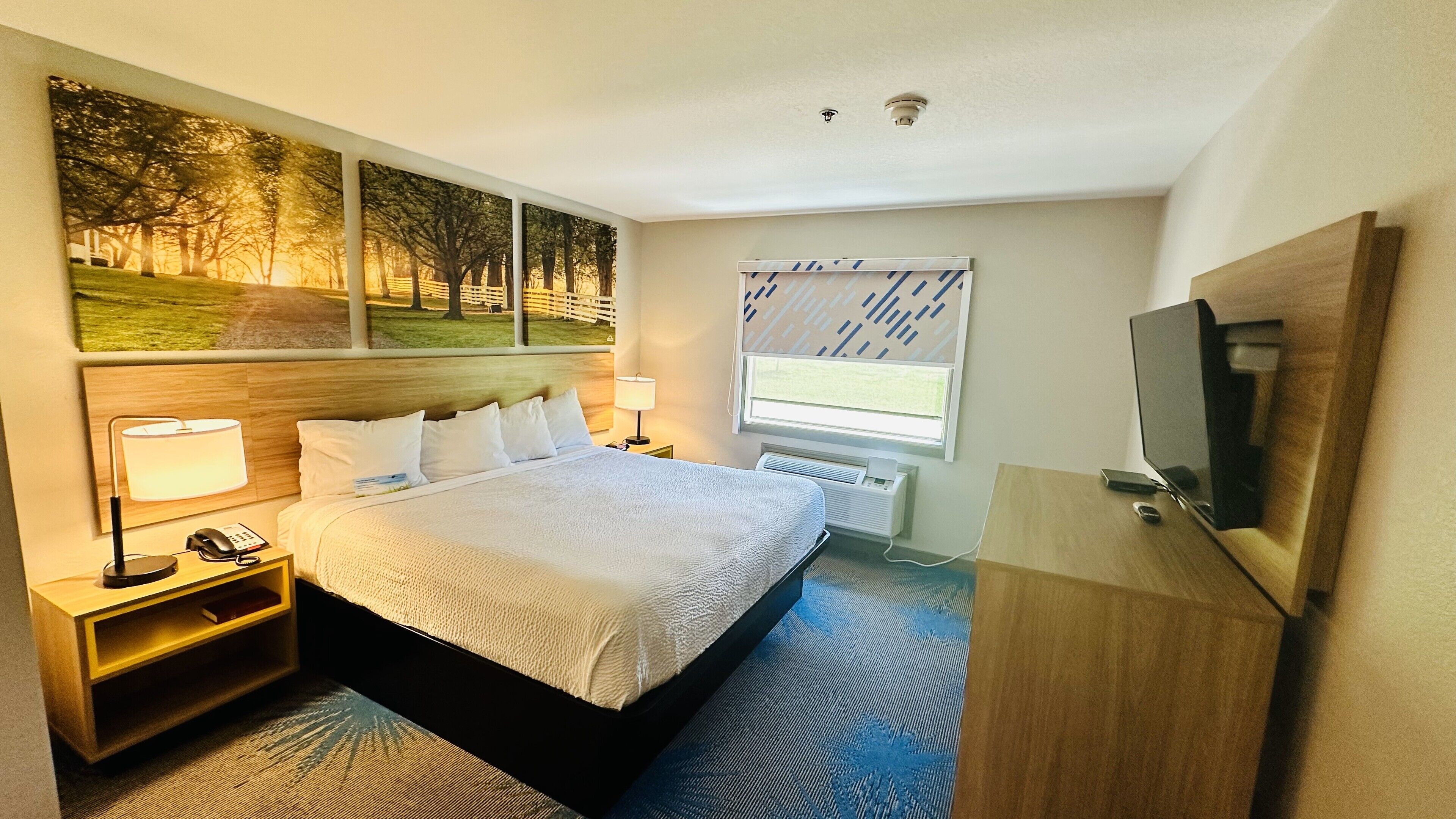 Habitación de hotel con una cama grande, una mesita de noche con lámpara, un televisor y una ventana con persianas.