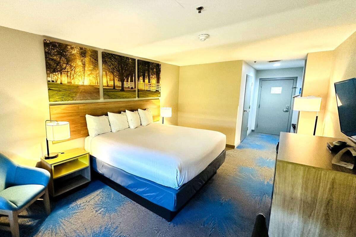 A hotel room with a large bed, a desk with a chair, a TV, and a painting of trees.