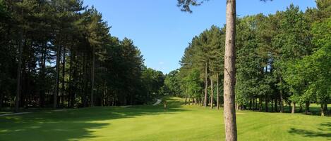 Un campo de golf con cielo despejado, césped bien cuidado y árboles altos.