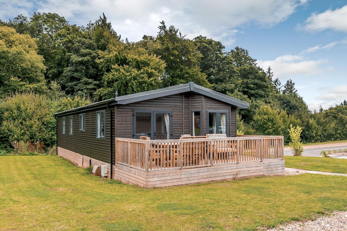 Een gelijkvloers vakantiehuisje met terras, omgeven door weelderig groen en bomen.