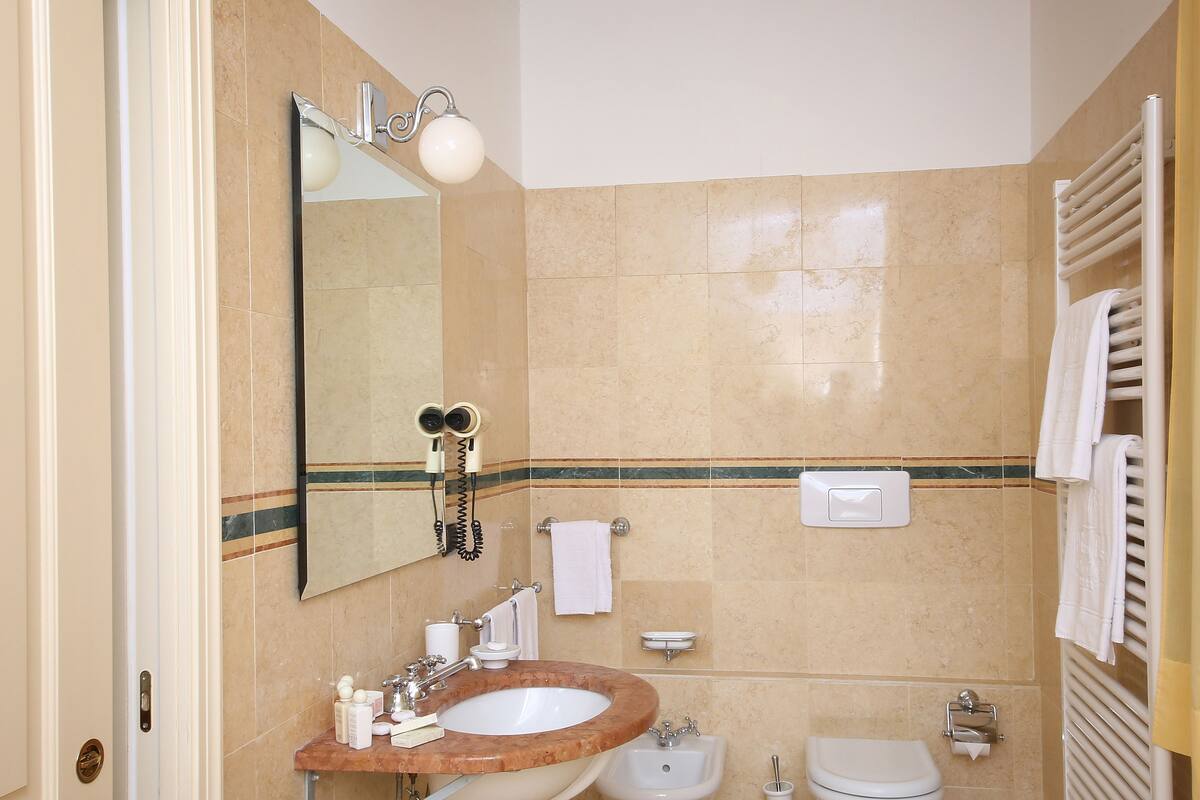 combined shower/bathtub, free toiletries, hair dryer, bidet