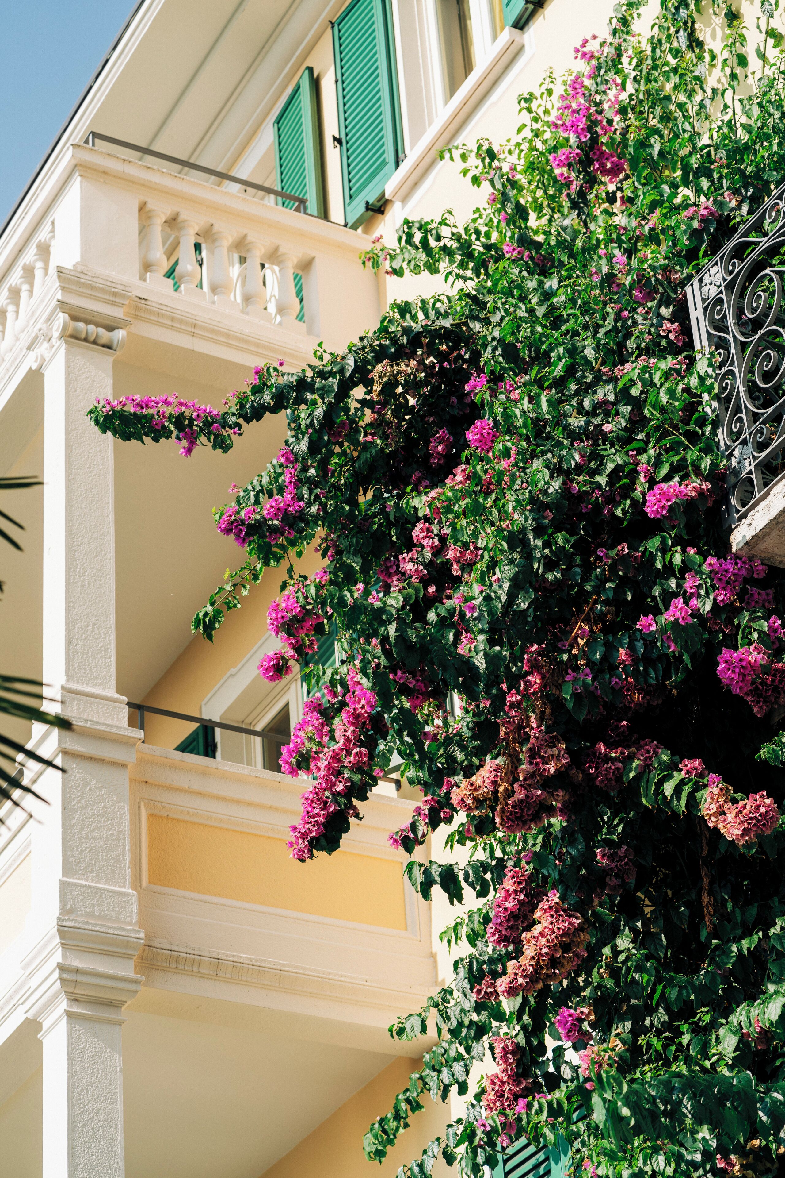 Majoituspaikan julkisivu