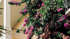 A building with a balcony, green shutters, and pink flowers. - Hotel Villa Sofia (Gardone Riviera)