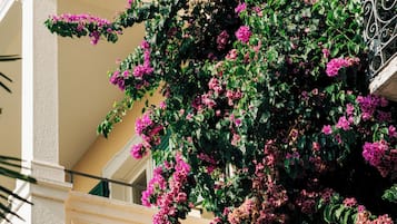 Majoituspaikan julkisivu