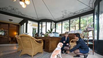 Un amplio vestíbulo con un escritorio de madera grande, sillas de mimbre y un perro con un vendaje.