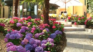 A hotel courtyard with vibrant purple and pink flowers, outdoor seating with yellow umbrellas, and a palm tree. - Hotel Villa Sofia (Gardone Riviera)