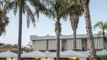 Relax by the pool surrounded by palm trees and comfortable outdoor seating areas.