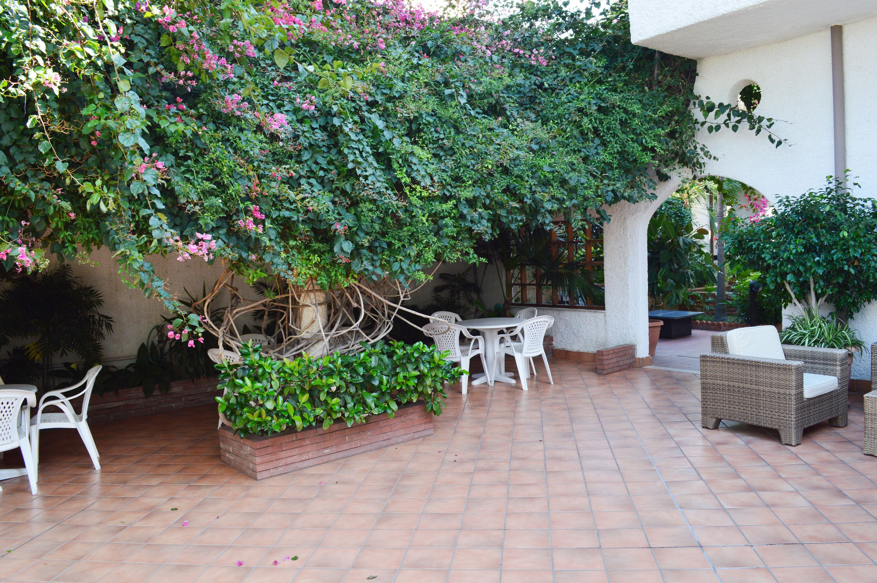 An outdoor patio area with a table and chairs, surrounded by lush greenery and flowering plants.