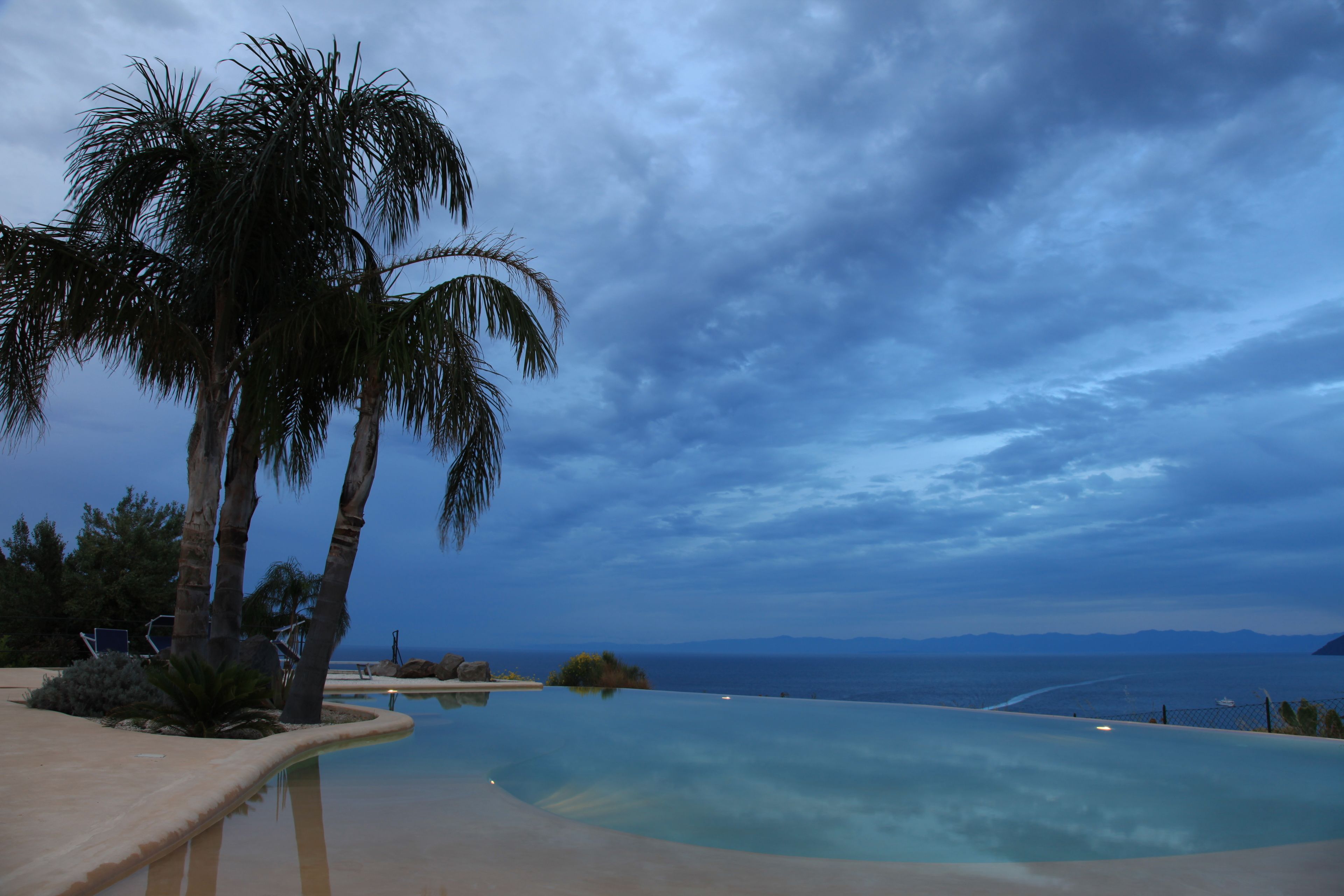 A pool with a curved edge, palm trees, and a view of the ocean.