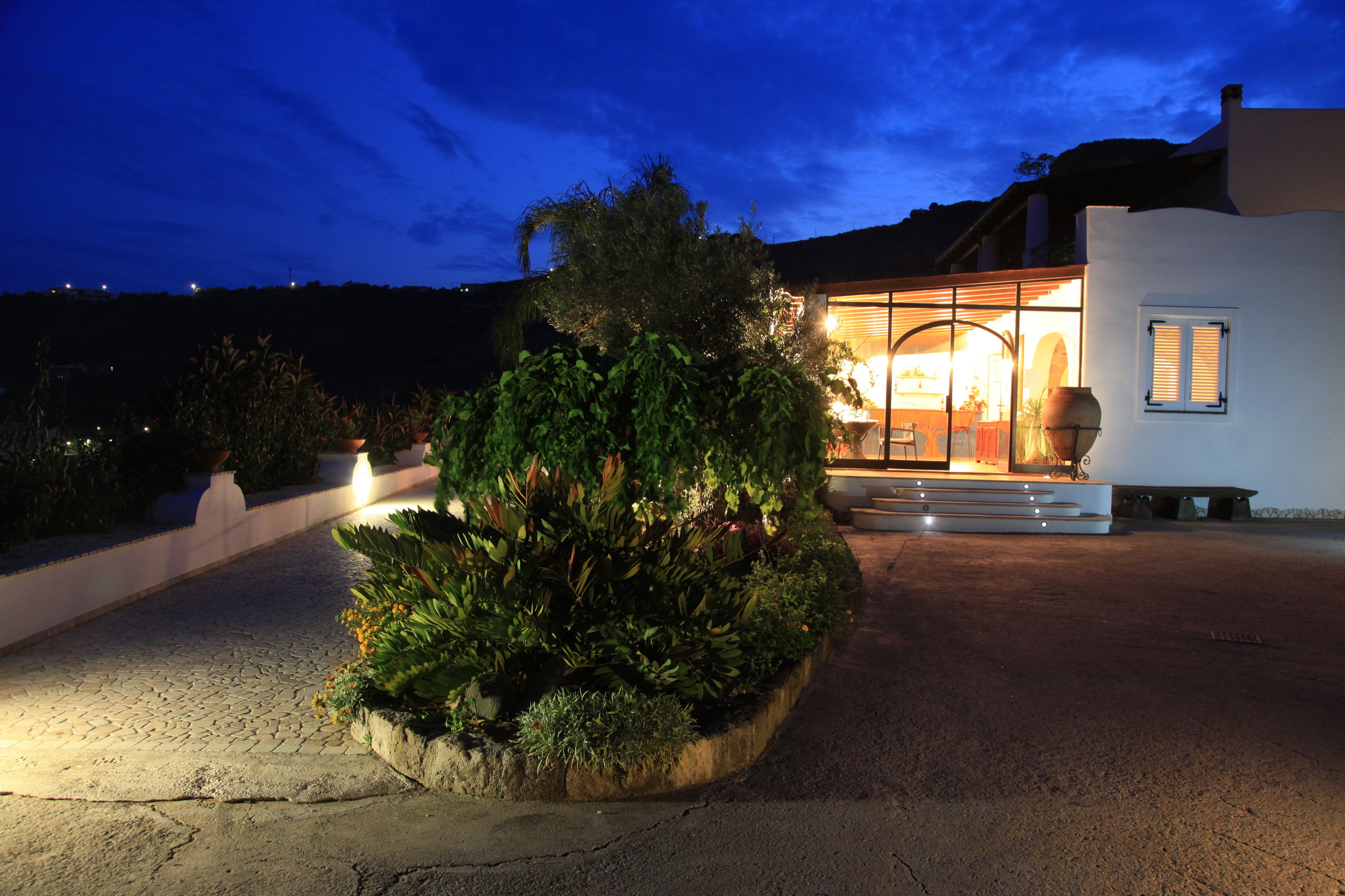 Una casa moderna con una entrada bien iluminada, una planta grande en maceta y una vista despejada del interior a través de puertas de cristal.