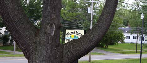 A motel sign partially obscured by a tree.