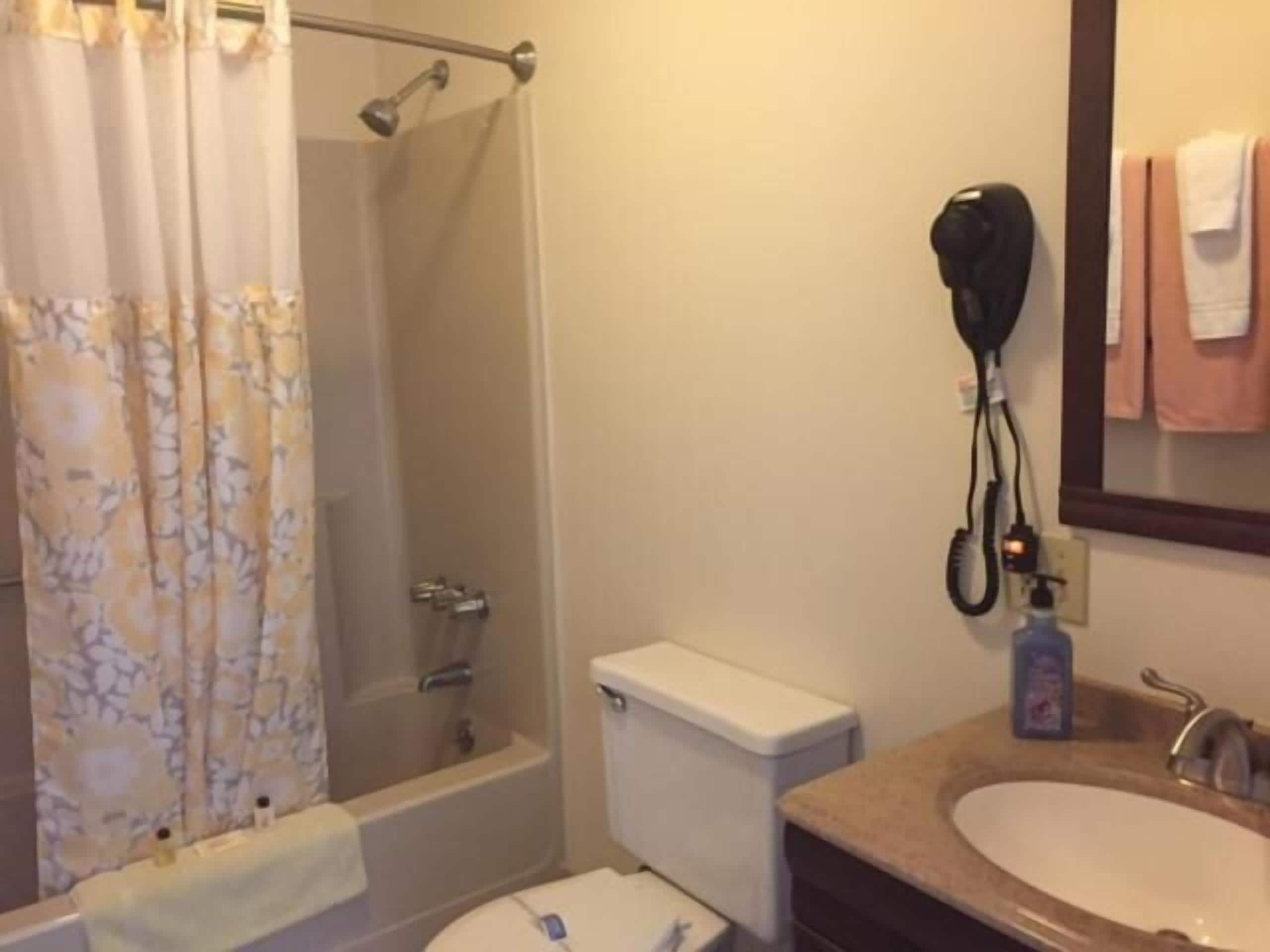 A bathroom with a shower, toilet, sink, and a hairdryer mounted on the wall.