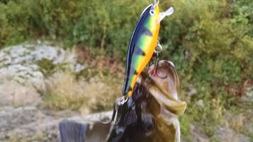 Khuôn viên nơi lưu trú