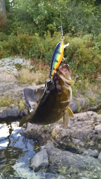 Milford Motel On The River