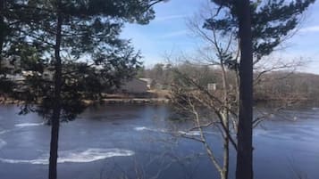 Une vue sur une rivière, avec des arbres au premier plan et des bâtiments à l’arrière-plan.