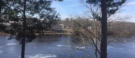A view of a river with trees in the foreground and buildings in the background.