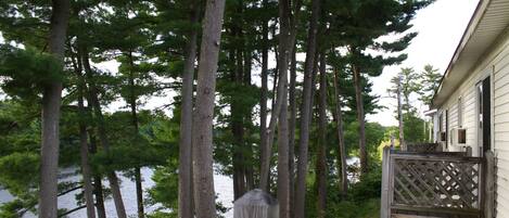 Vista desde la propiedad