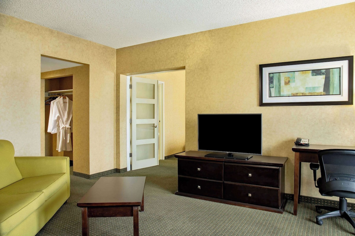 Deluxe Suite, 1 King Bed with Sofa bed, Non Smoking, Kitchen | Living area | 42-inch TV with cable channels