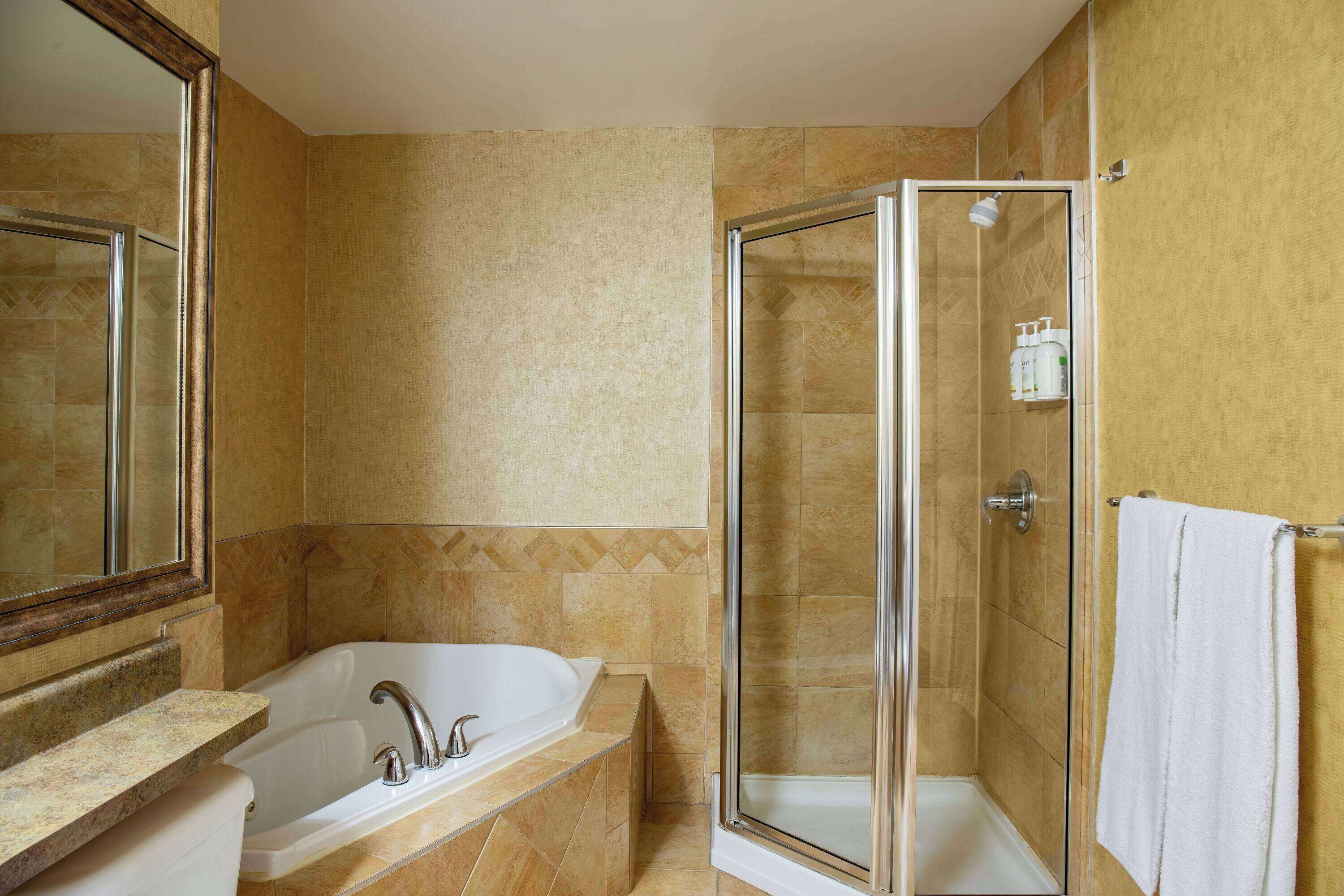 deluxe suite, 1 king bed with sofa bed, non smoking, jetted tub (kitchen) | bathroom | free toiletries, hair dryer, towels