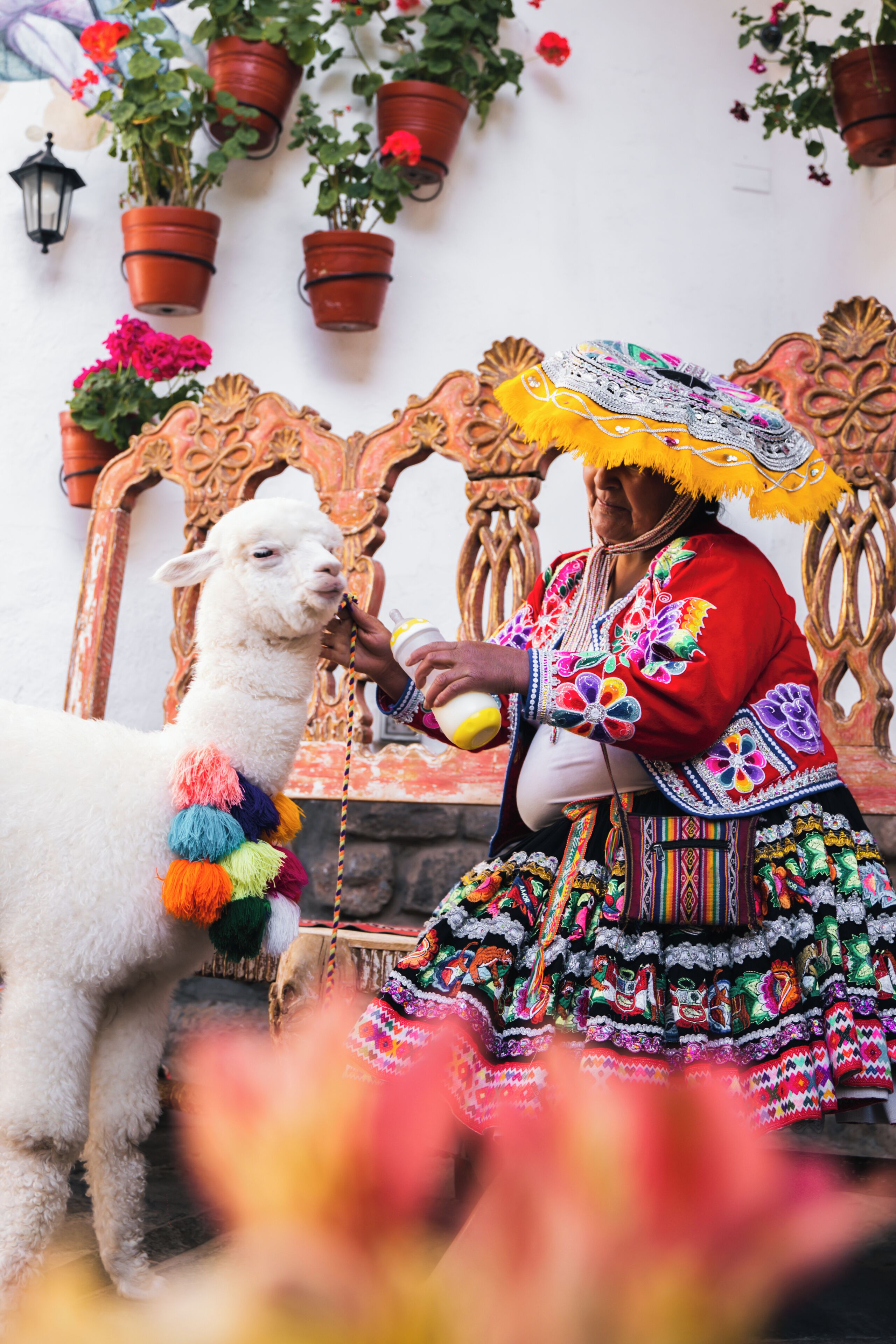 Photo - Casa Andina Premium Cusco