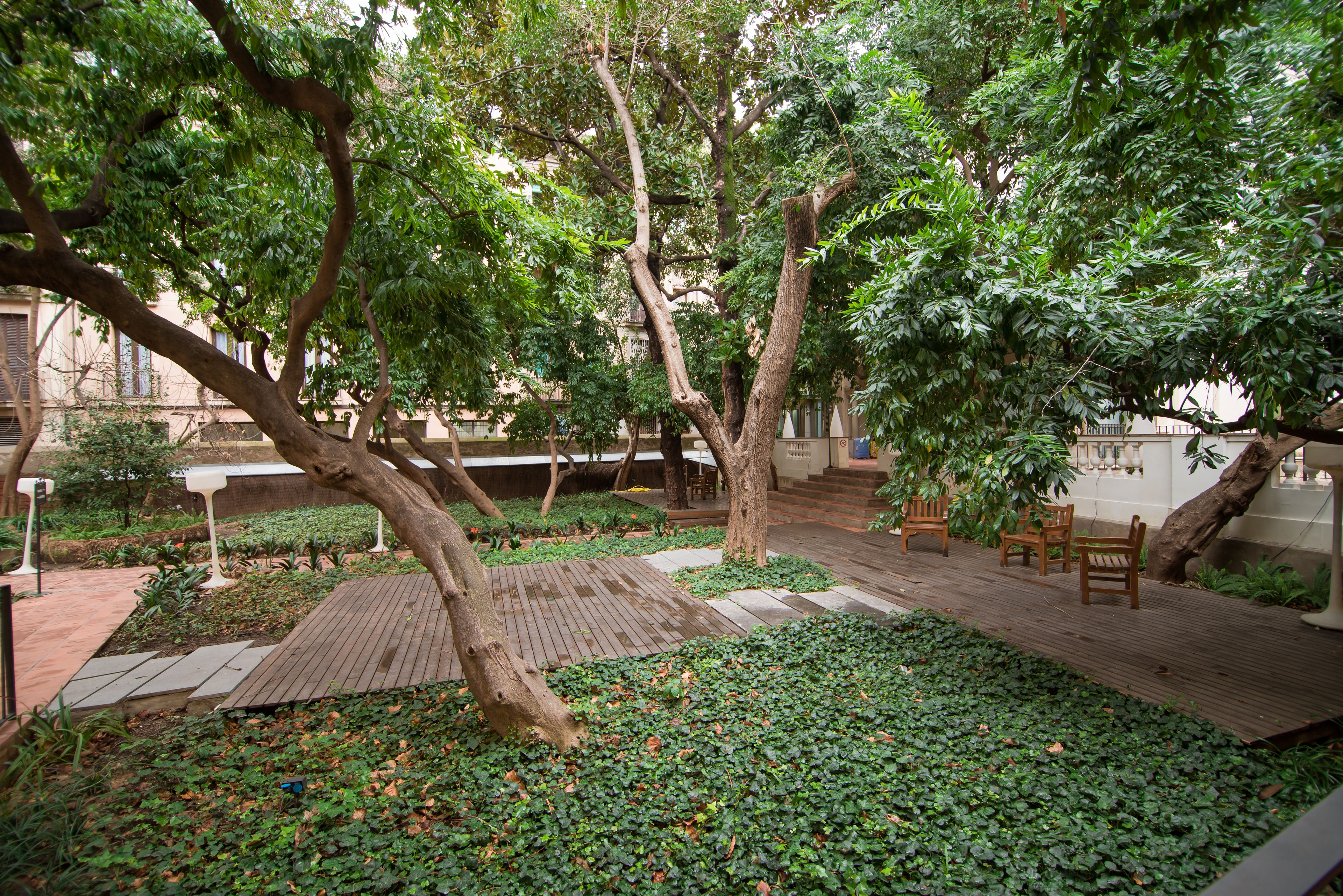 A courtyard with trees, a wooden deck, and seating areas.
