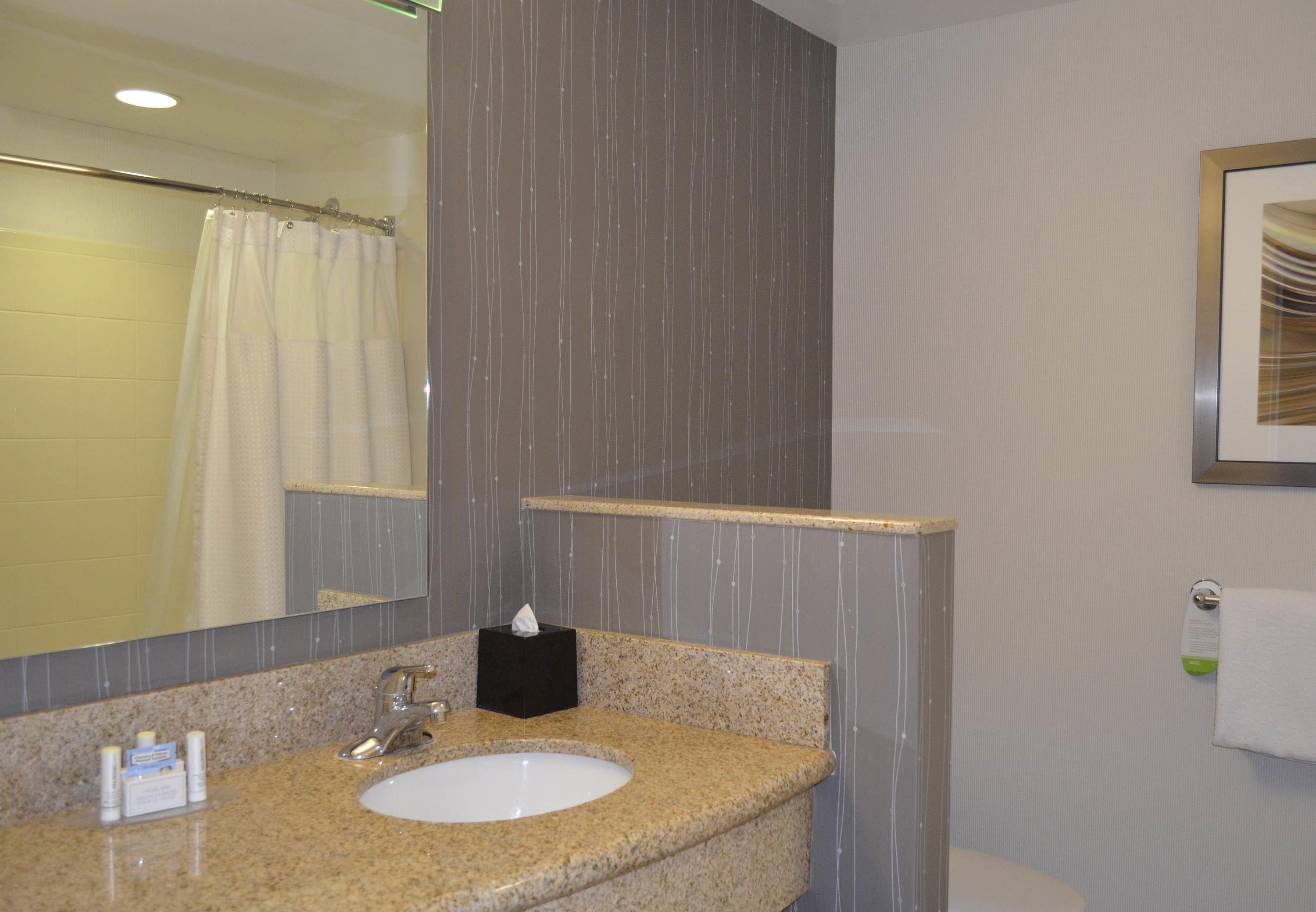 combined shower/bathtub, free toiletries, hair dryer, towels