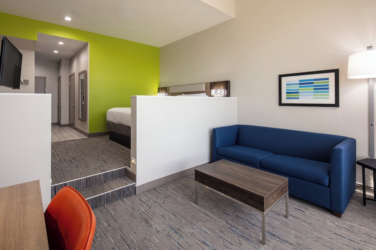Suite, 1 King Bed with Sofa bed