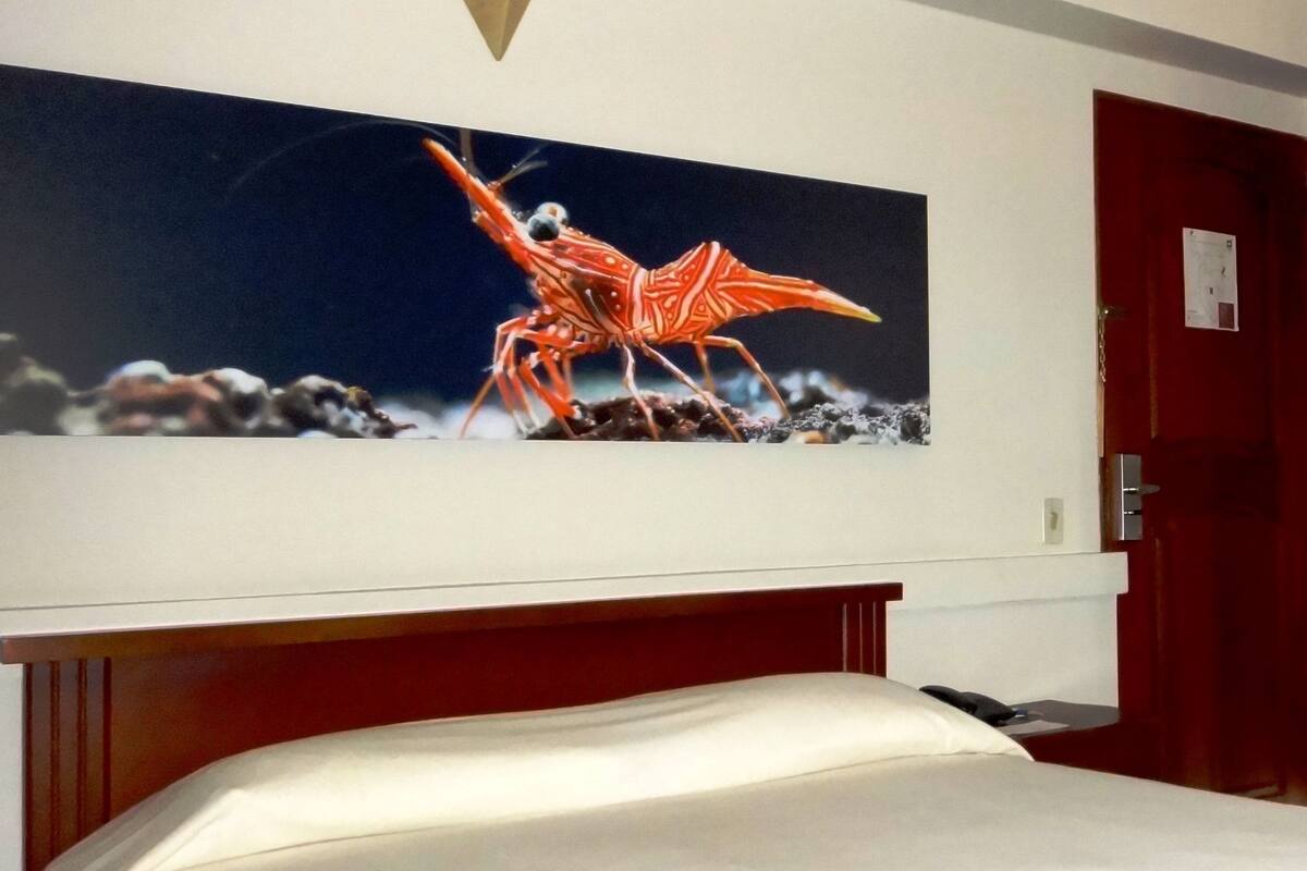 Une chambre d’hôtel avec un lit, une œuvre d’art représentant un homard rouge accrochée au mur, et une porte rouge.