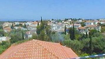 A view of a residential area with houses and trees.
