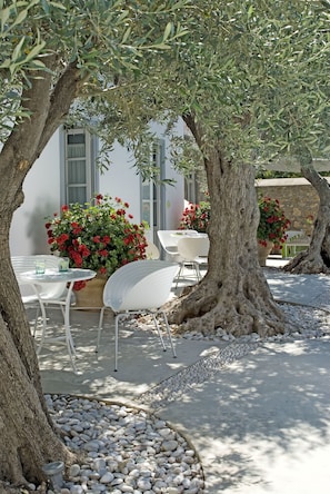 Terrasse/patio