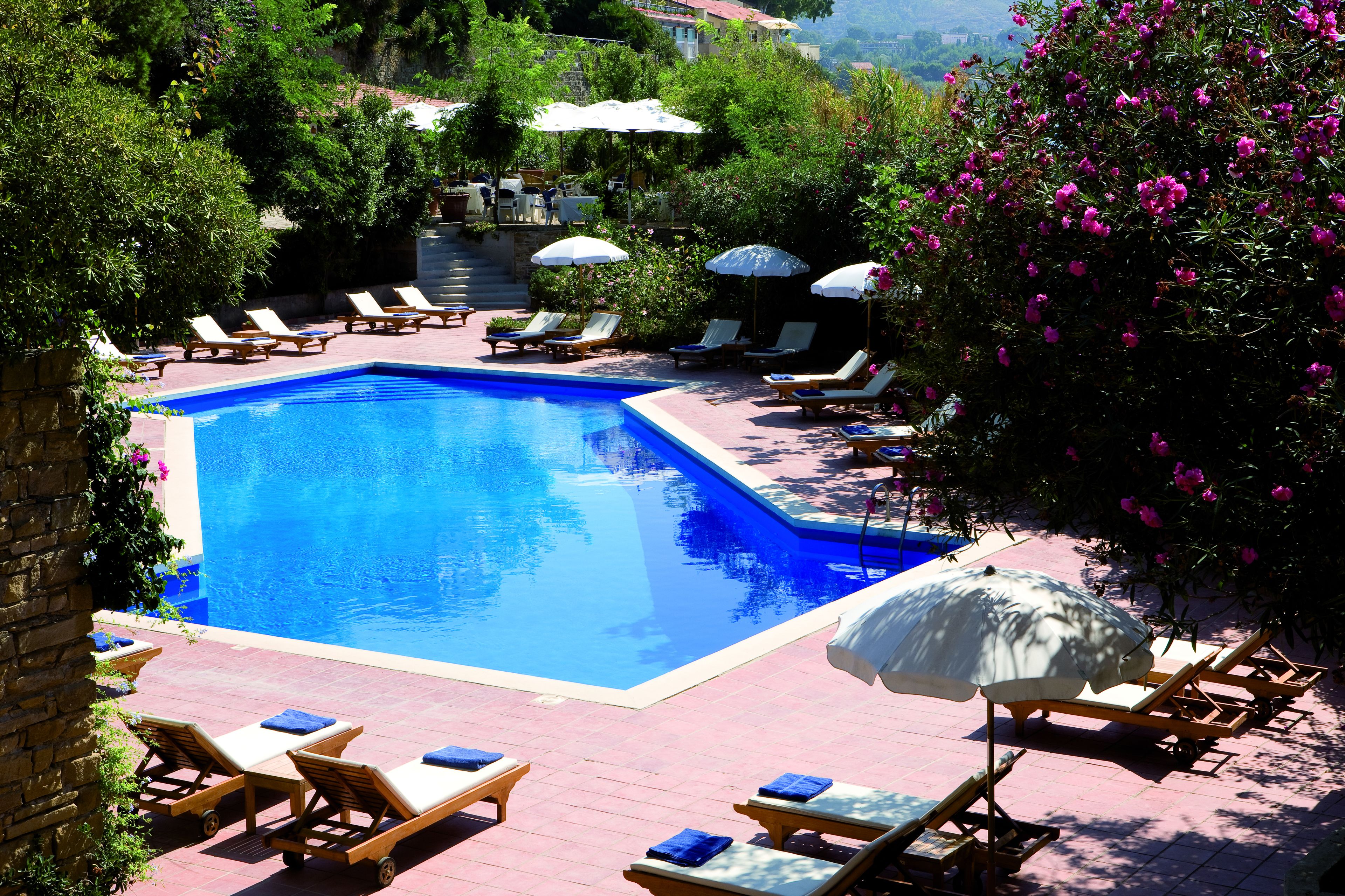 Une piscine entourée de verdure, avec des chaises longues et des parasols, offrant une vue sur le paysage.