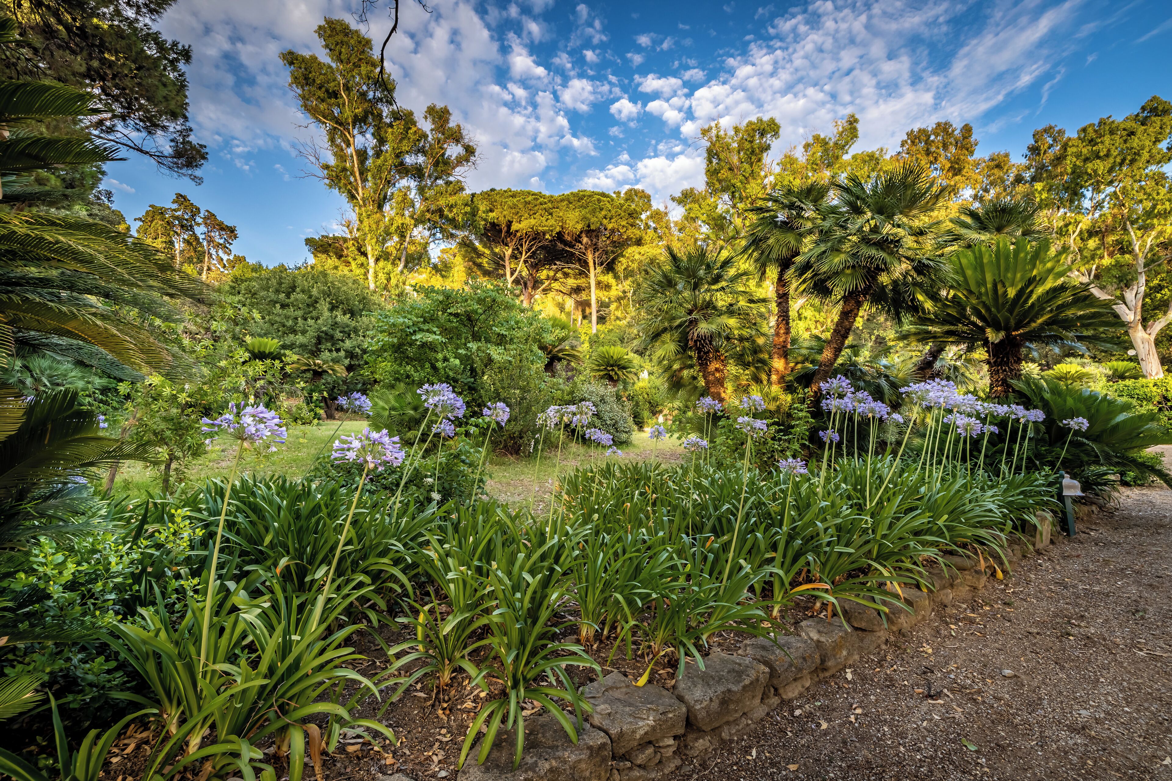 A garden with various plants and flowers, a stone wall, and a clear sky.